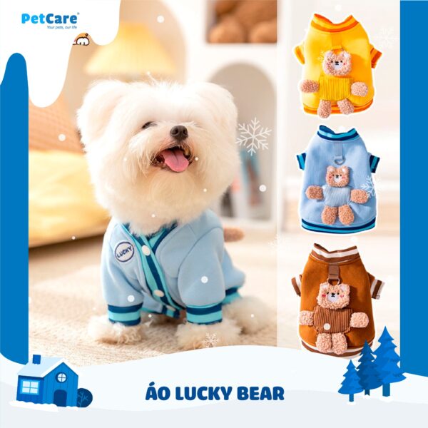 Áo lucky bear