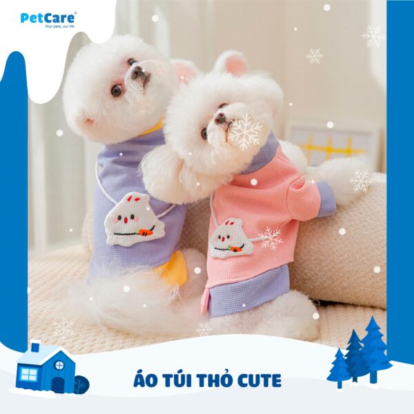 Áo túi thỏ cute