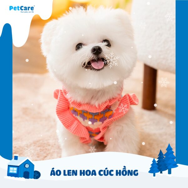 Áo len hoa cúc bông