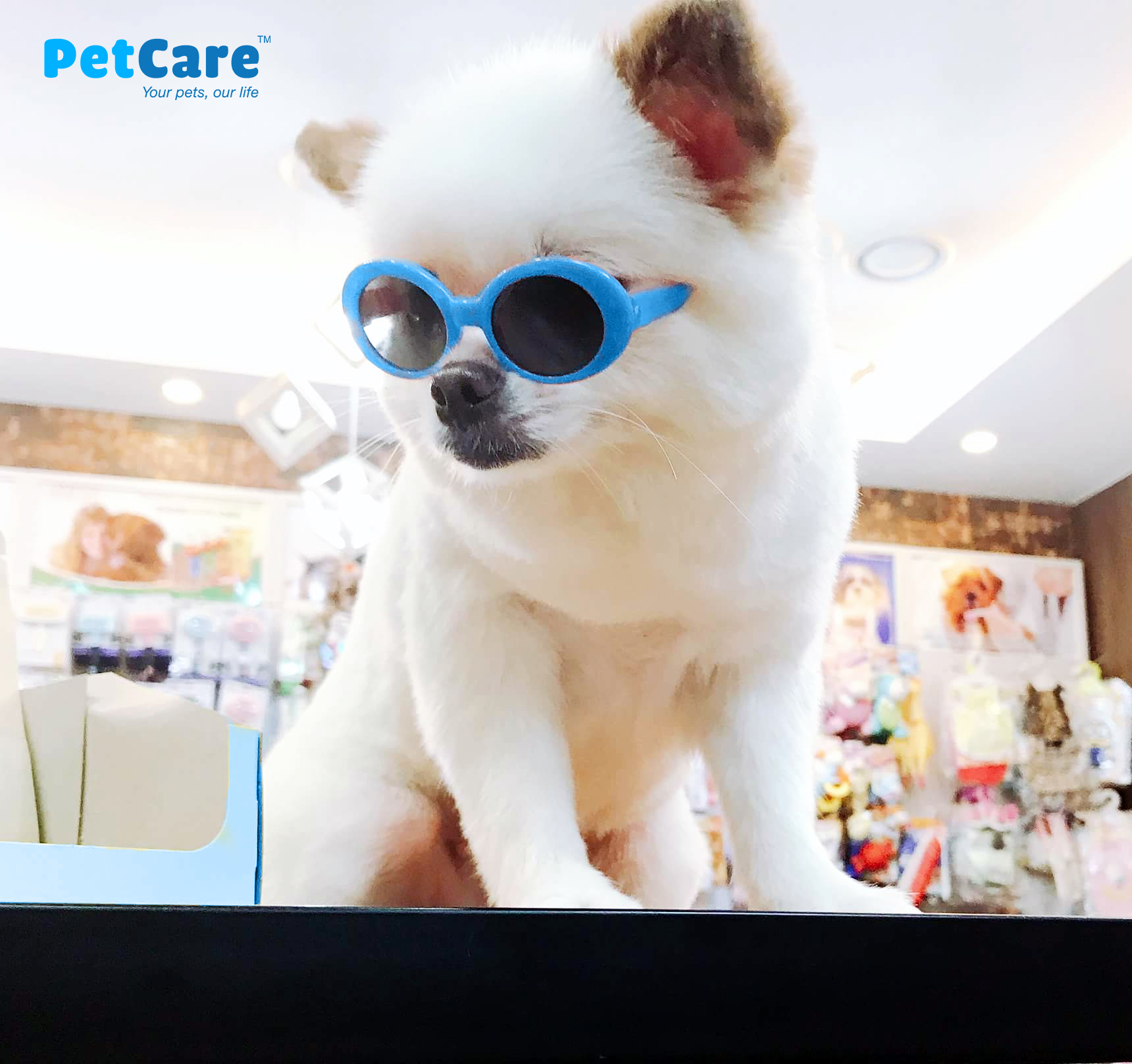 PetCare-1